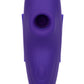 Lock-N-Play Remote Suction Panty Teaser - Purple